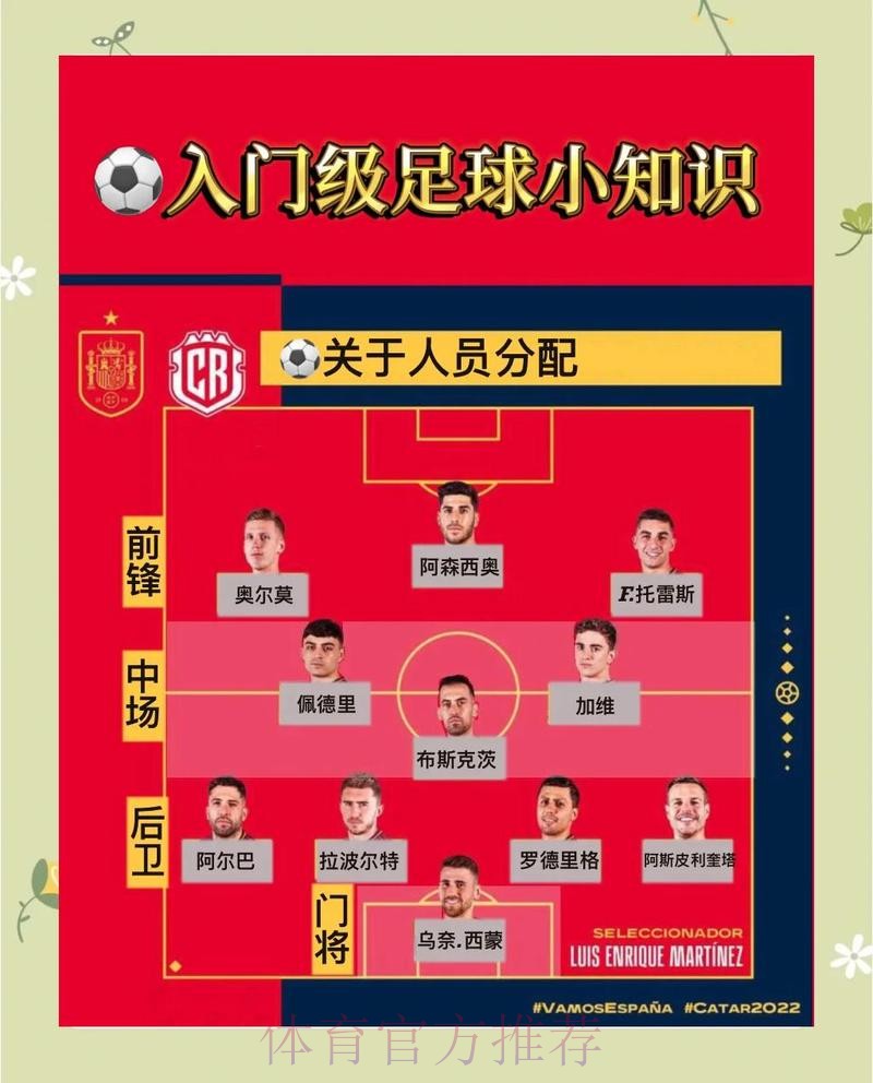 揭秘世界杯竞猜的稳健技巧与对策